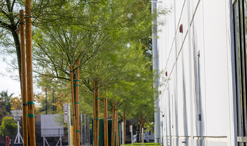 Globe Distribution Center Building Photo
